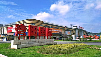 湾田国际 新兴专业市场标准制定者