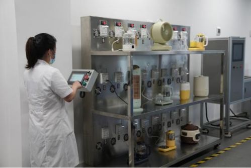 以用户为中心，小熊电器差异化创新引领品质生活新篇章