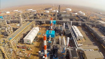 你绝对想不到月薪很高的7个冷门专业，机电化工只是开始